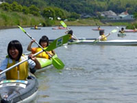 �Ί炪�����Ԏq�ǂ�����