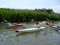 �S�~�̒���