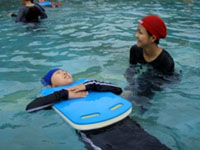 �r�[�g�ł�⏕�ɔw�������K