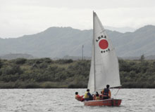 �����̗l�q