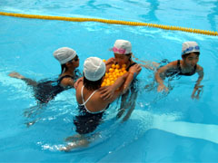 �����ʓ���