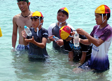 �y�b�g�{�g�����g�����~���@�������Ă���܂���