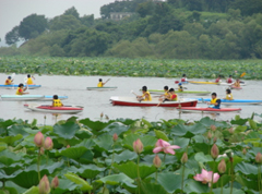 �J��̗l�q