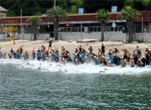 �X�^�[�g�̗l�q