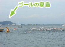 ����΂�I�肽��