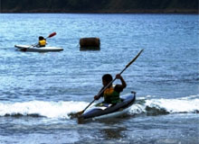 �g�ɂ������������I�肽��