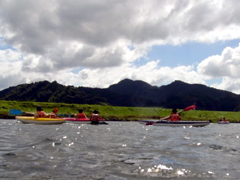 �����s�퐶�@�ԏ���͐�������ʂŃJ�k�[�f�r���[