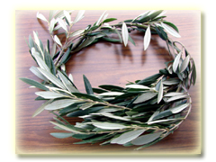 �D���҂̓��̏������A����̌��j��