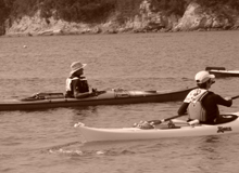 ���C�㐅�ʂ͔g�����₩�ŃJ�k�[�}���\�����a