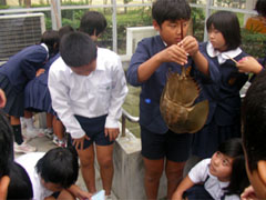 �E�F�r���O�}