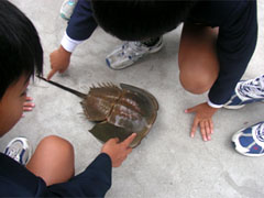 �C�ӂ̈��S�N�C�Y