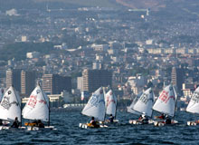 ���b�g�̌Q��