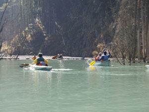 �c�[�����O�̗l�q