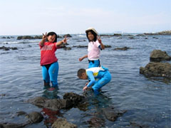 ��ŗV�Ԏq�ǂ�����