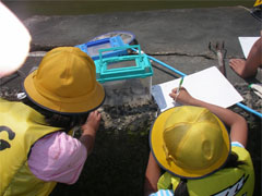 �߂܂���������^���Ɍ��߂�q�ǂ�����