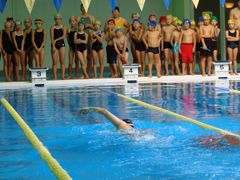 �����^�߂���ɂ��͔͉j�@�̗l�q