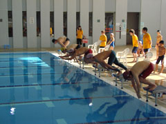 ��ʒj�q�̕�