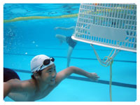 �����ʓ���