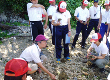 �t�B�[���h�����̗l�q