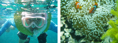 �����̗l�q