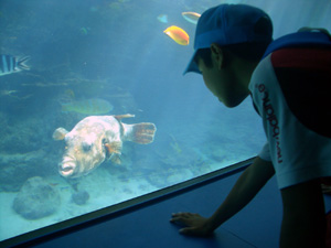 �����C������