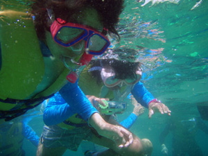 �����̗l�q