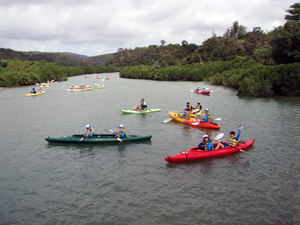 �J�k�[�c�[�����O