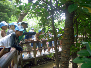 �}���O���[�u�ώ@