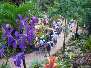 �p�C���p�[�N���w