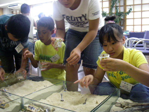 �W�F���L�����h���Â���