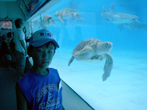 �����C������