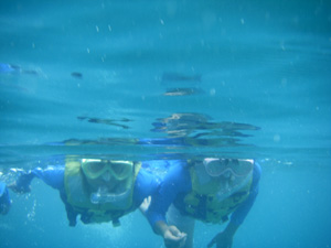 �V���m�[�P��