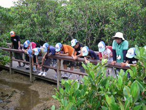 �}���O���[�u�ώ@