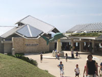 ����C������