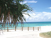 �ɍ]���̃r�[�`