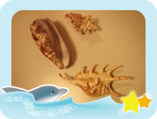 ���@��������