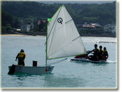 �u�a���f�h���[���L�����v�v��ڕʗ��K�̗l�q