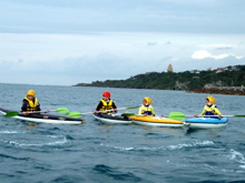 ���c�R�[�`�̃t�H�[�������Ȃ���A���K�ɗ�݂܂�