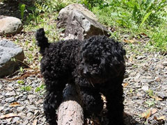 �Q���ҁH��1�C