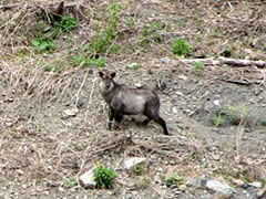 �쐶�����Ƃ̐G�ꍇ��