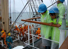 �Z�[�����f����