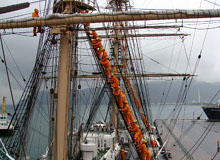 �}�X�g�̂ڂ�