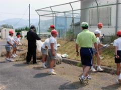 ���|�����̗l�q