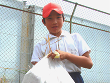 ���{���w�Z�U�N���̑�� ��������