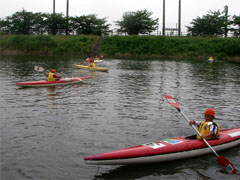 �J�k�[���K���i