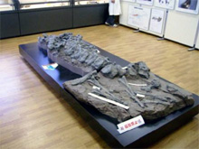 �O�g���̔��̃��v���J