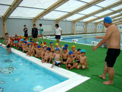 �����Ɛ��������Ă�H