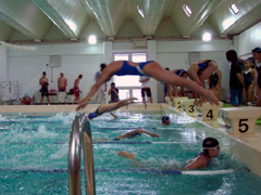 �a���f�����u���b�N��t���j�𗬑��