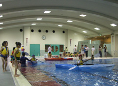 �v�[���ő̌���