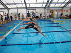 �Q���҂̒��J�� ���q����Ɨ��q�����e�q